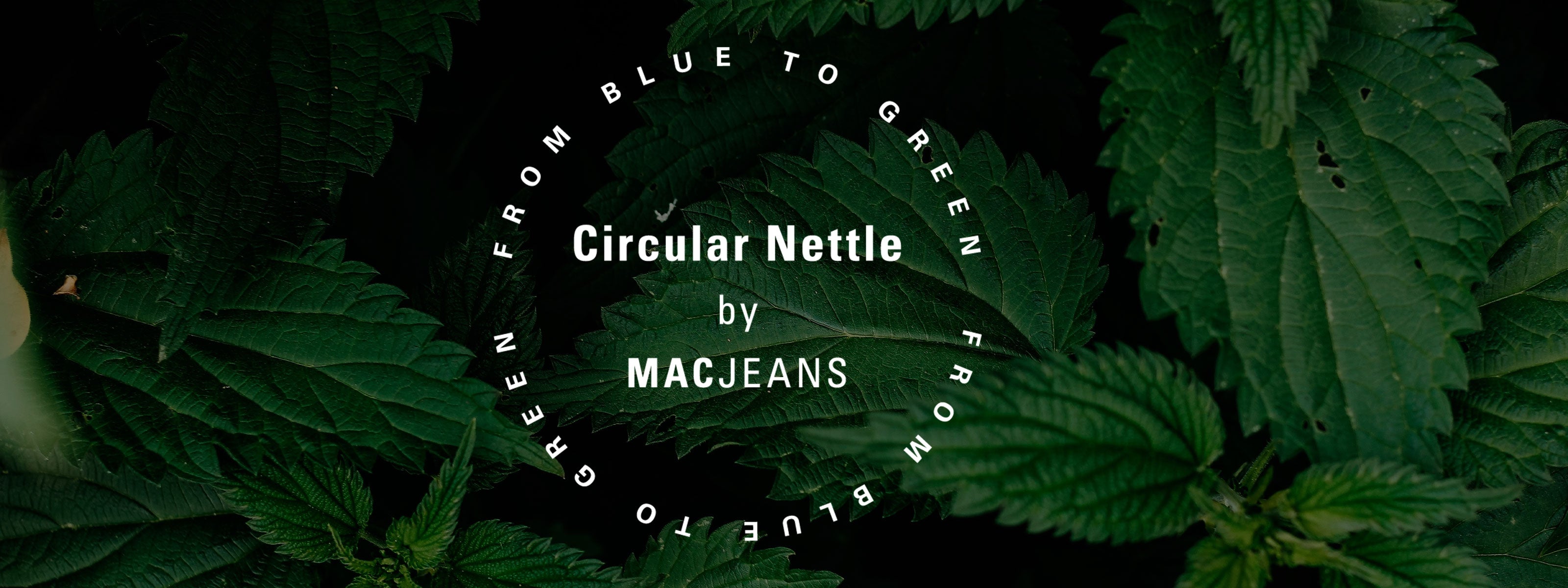 Green nettle leaves with circular text reading ‘Circular Nettle by MAC JEANS’ on a dark background.