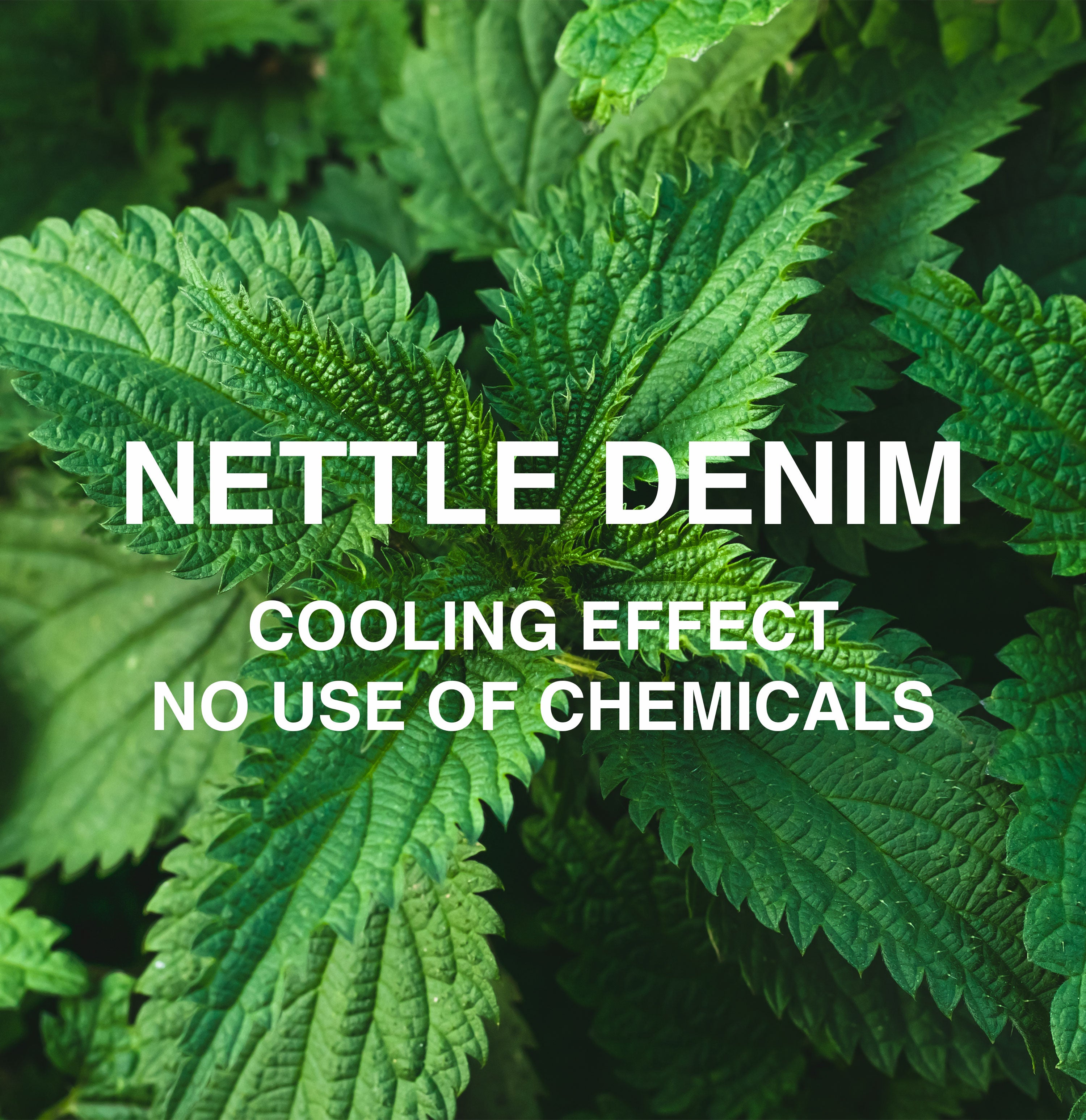 Chino with organic cotton and nettle fibres. | Dean | rinsed deep blue | Campaign image 3