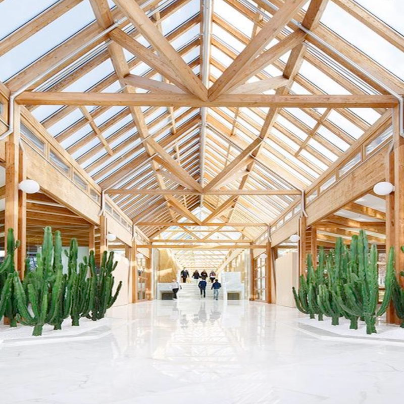 MAC Jeans headquarters, featuring a bright wooden interior with glass ceiling and indoor plants.