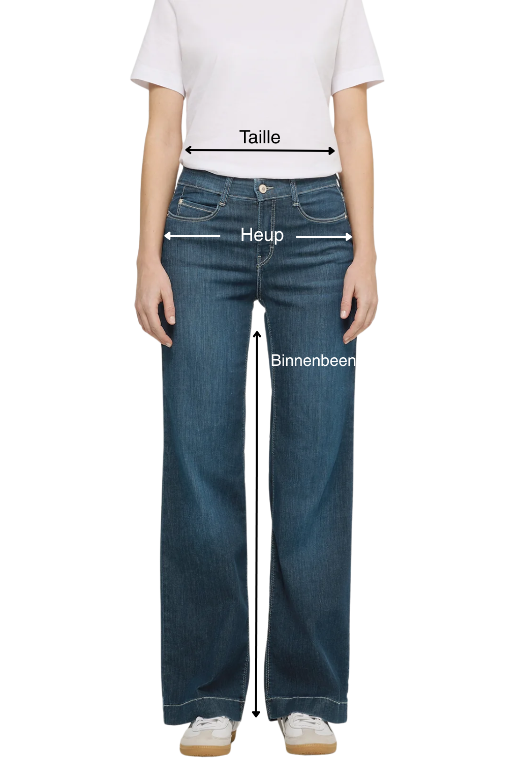 Model mit Maßen